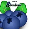Ellibesh - Blaubeer - Single